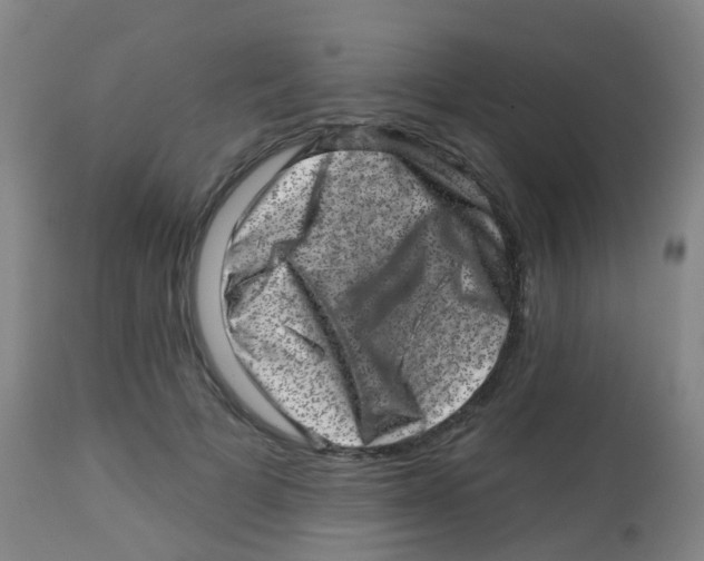 X0000113860697200910221441