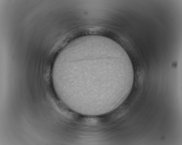 X0000113860698200910221441
