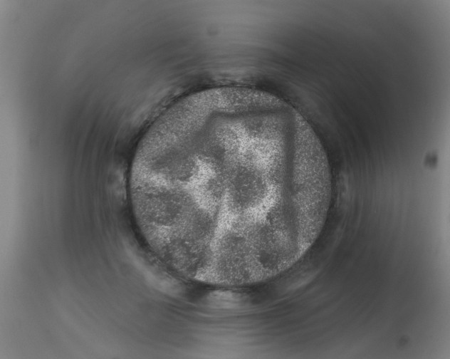 X0000113860699200910221441