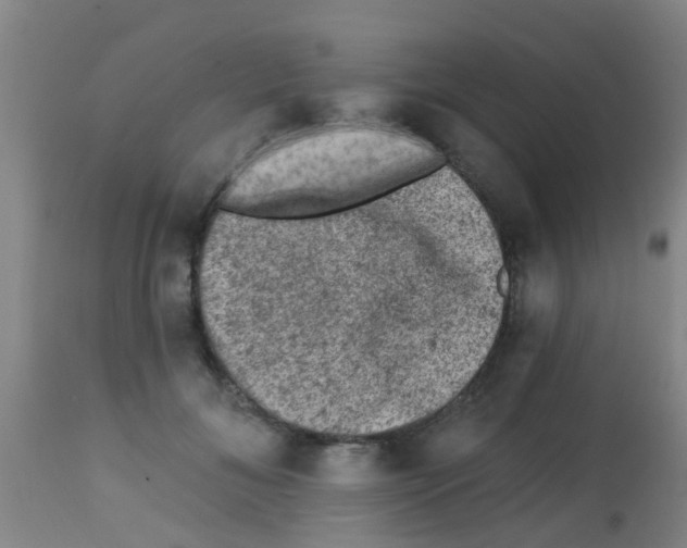 X0000113860700200910221441