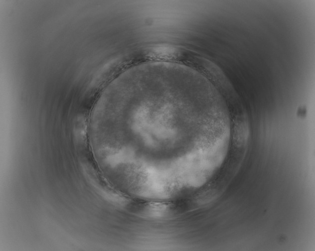 X0000113860701200910221441