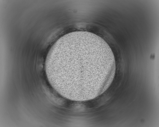 X0000113860702200910221441