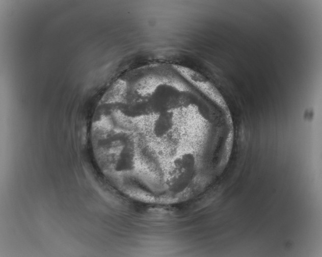 X0000113860703200910221441