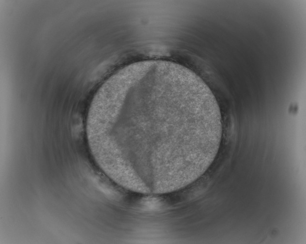 X0000113860704200910221441