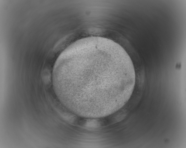 X0000113860705200910221441
