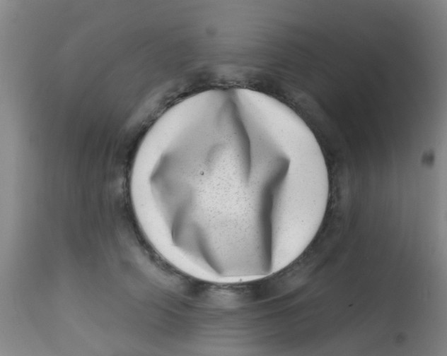 X0000113860706200910221441