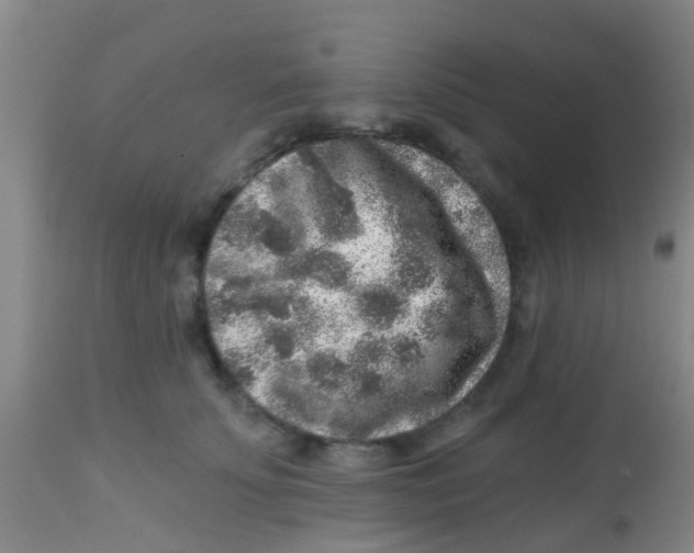 X0000113860707200910221441