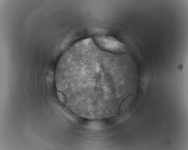 X0000113860708200910221441