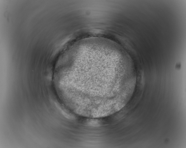 X0000113860710200910221441