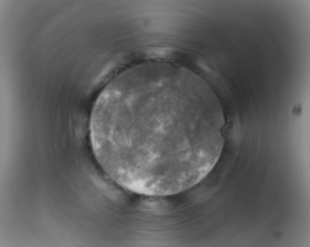 X0000113860712200910221441