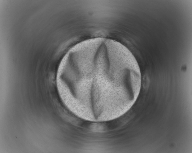 X0000113860714200910221441