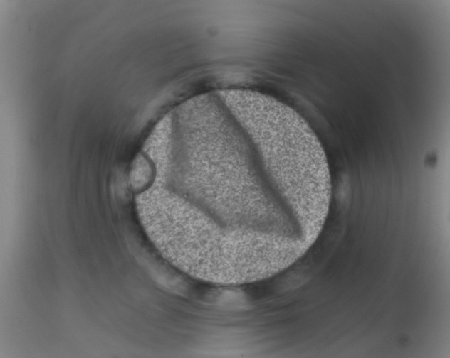 X0000113860715200910221441
