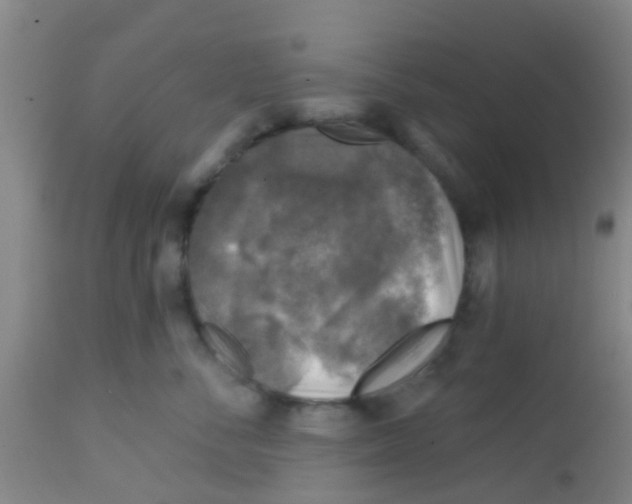 X0000113860716200910221441
