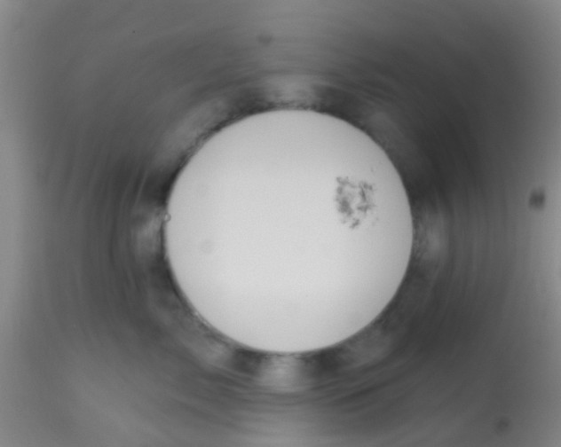 X0000113860717200910221441