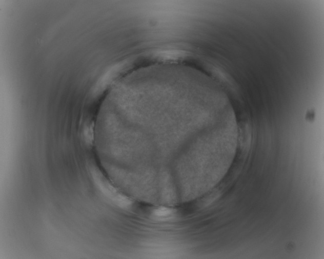 X0000113860718200910221441