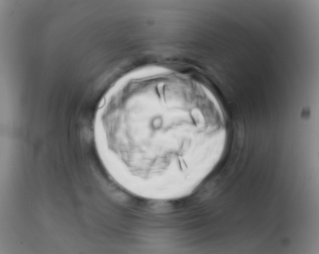 X0000113860719200910221441