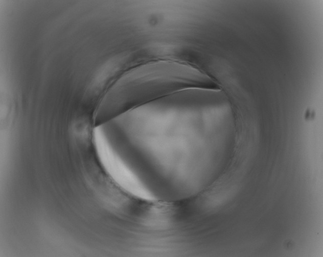 X0000113860720200910221441