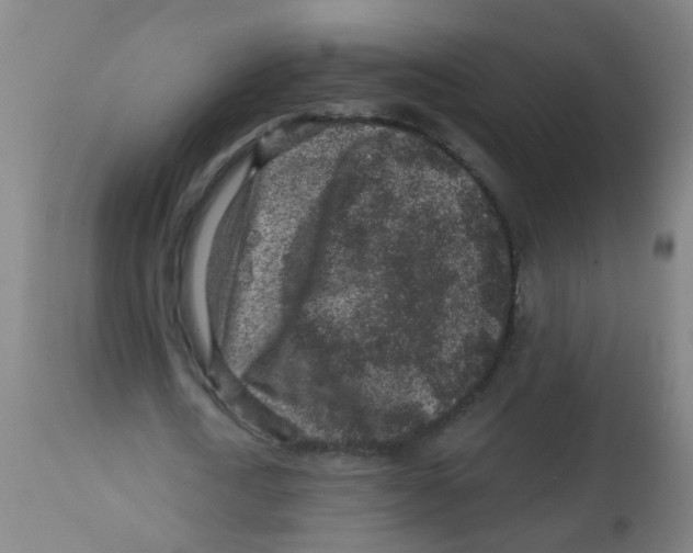X0000113860722200910221440