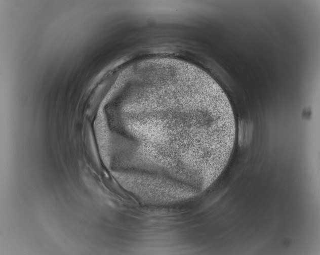X0000113860723200910221440