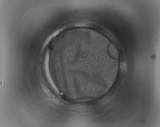 X0000113860724200910221440