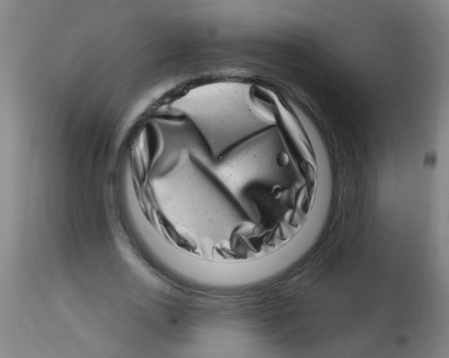 X0000113860726200910221440