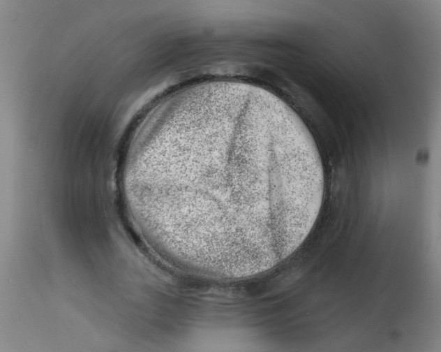 X0000113860727200910221441