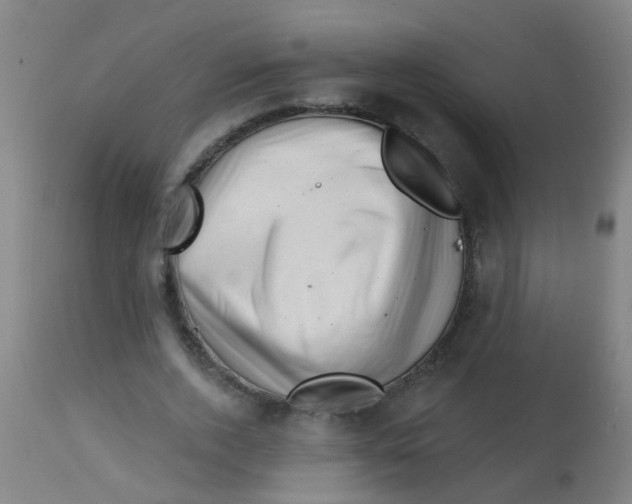 X0000113860728200910221441