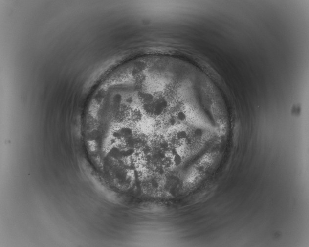 X0000113860729200910221441