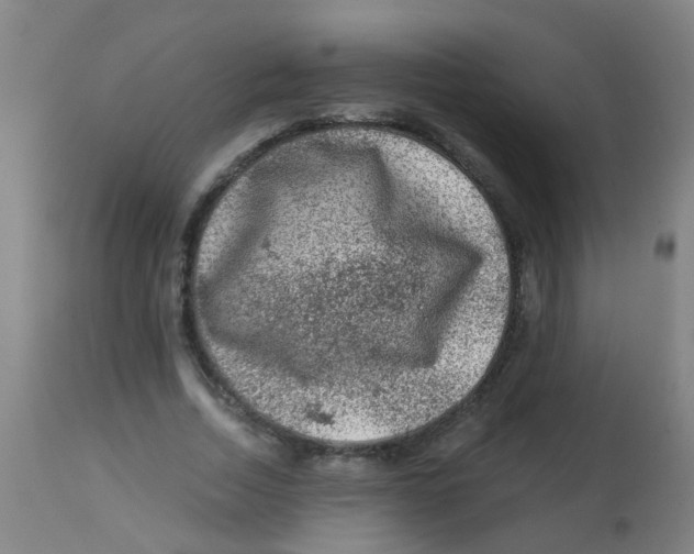 X0000113860730200910221441
