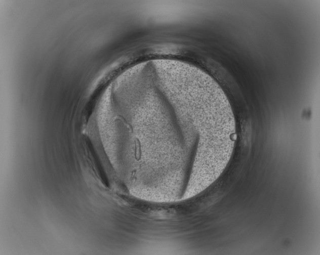 X0000113860731200910221441