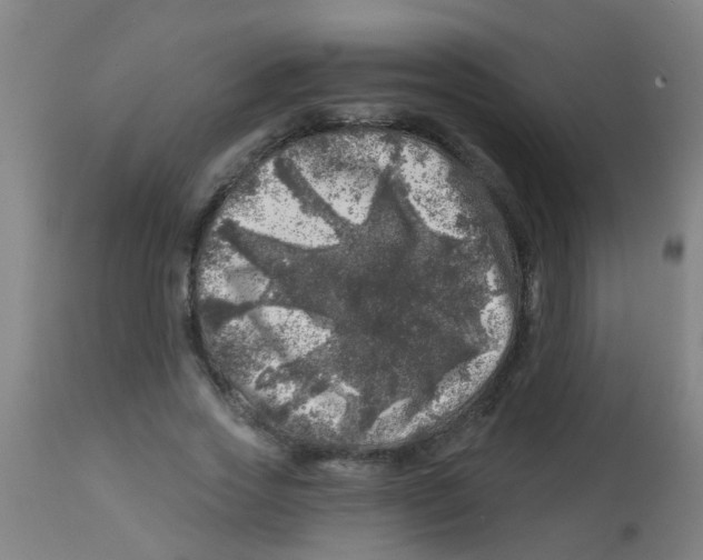 X0000113860733200910221441