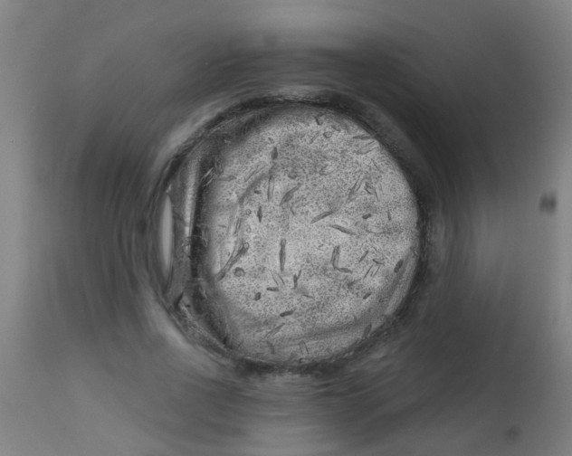 X0000113860734200910221441