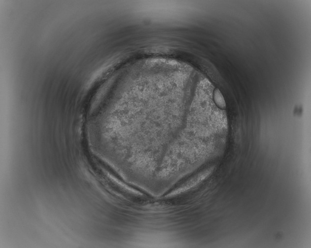 X0000113860735200910221441