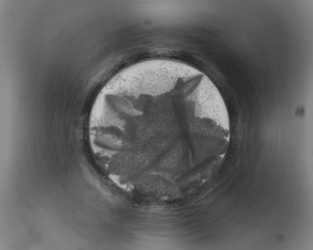 X0000113860738200910221441