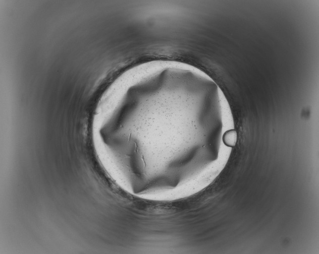 X0000113860739200910221441