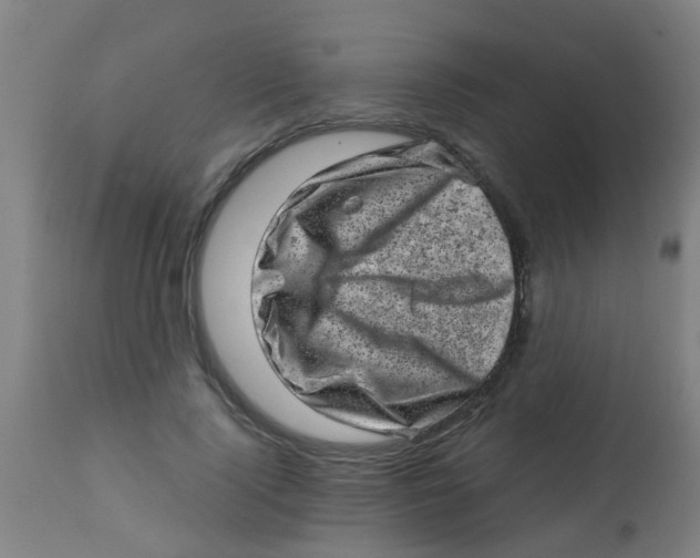 X0000113860740200910221441