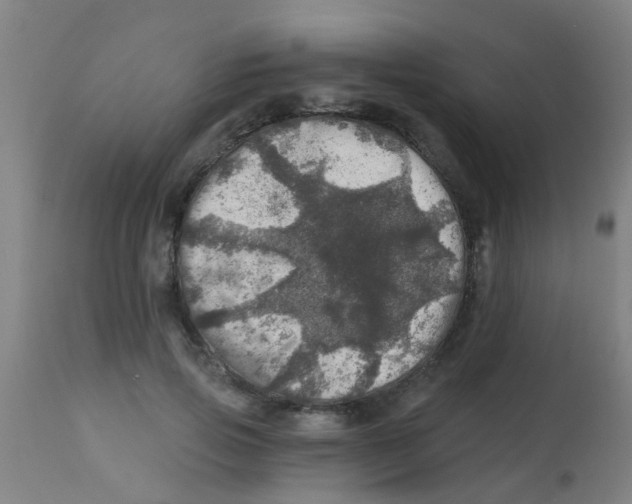X0000113860741200910221441
