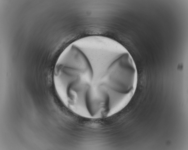 X0000113860743200910221441
