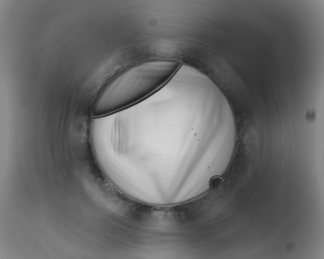 X0000113860744200910221441