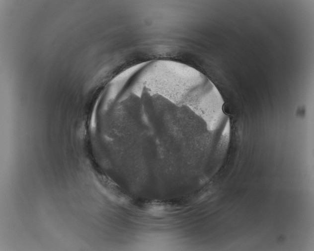 X0000113860746200910221441