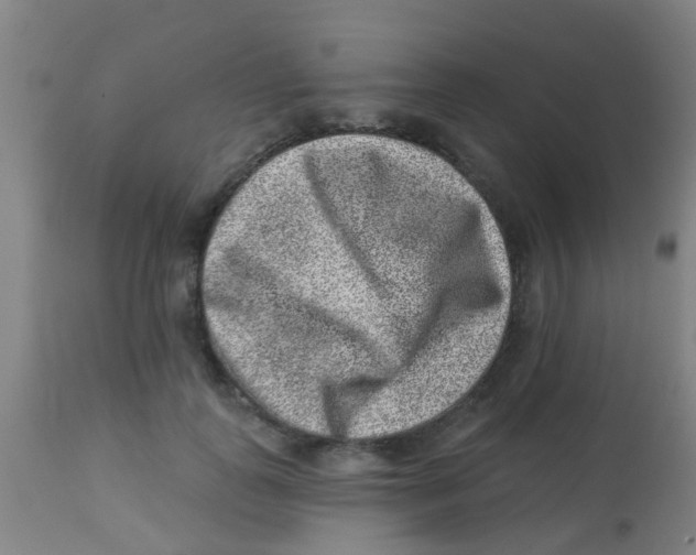 X0000113860747200910221441