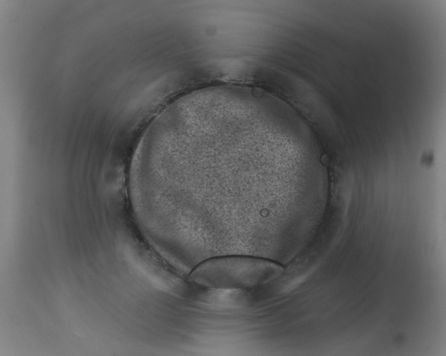 X0000113860748200910221441