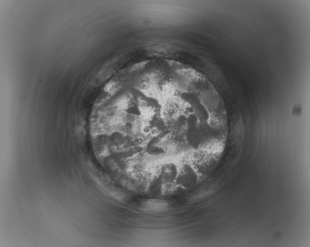 X0000113860749200910221441