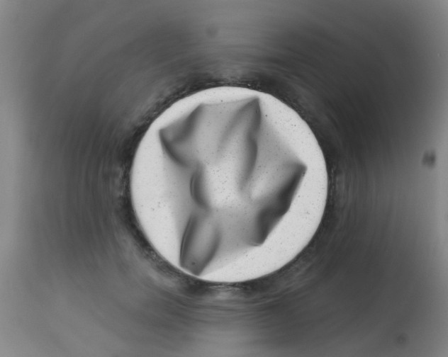 X0000113860750200910221441