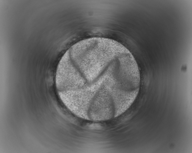 X0000113860751200910221441