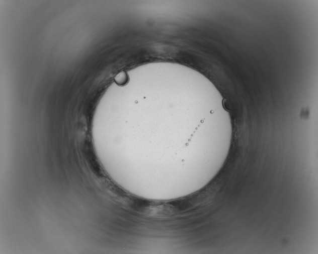 X0000113860752200910221441