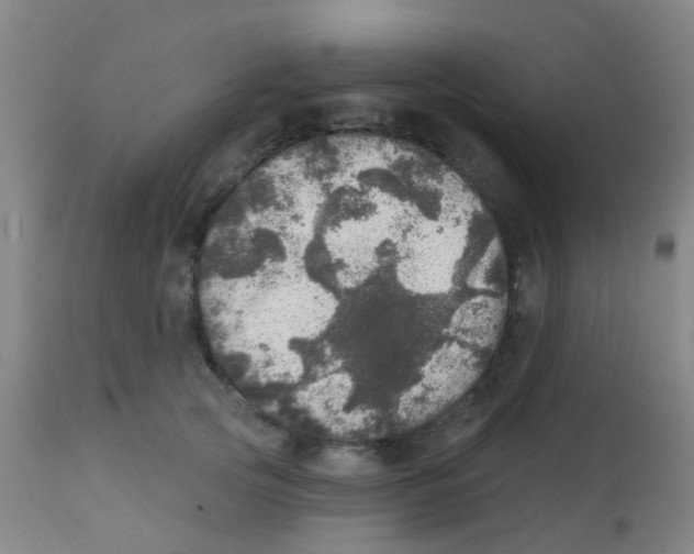 X0000113860753200910221441