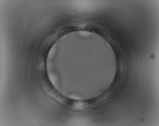 X0000113860754200910221441
