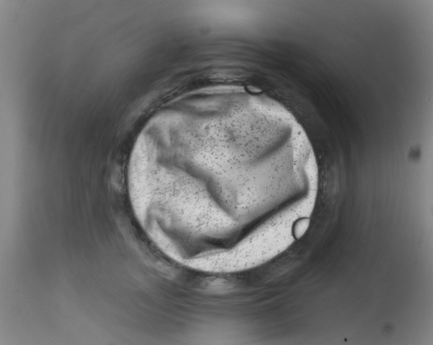 X0000113860755200910221441