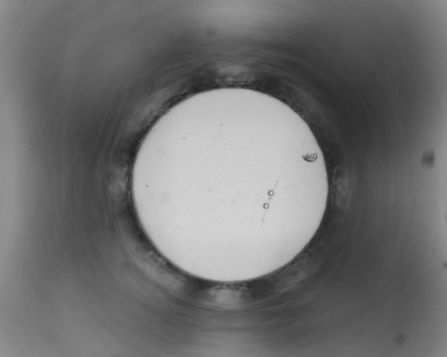 X0000113860756200910221441